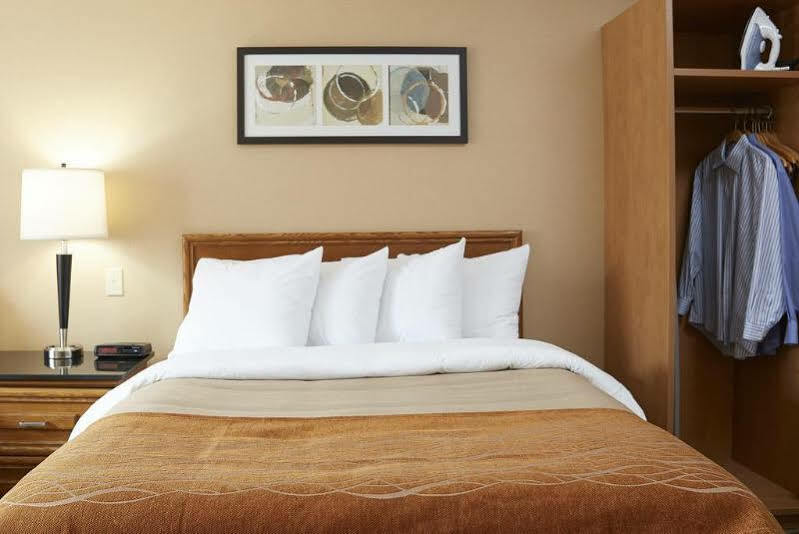 Comfort Inn Pickering Exterior foto